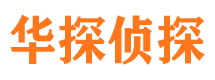 灯塔市侦探调查公司